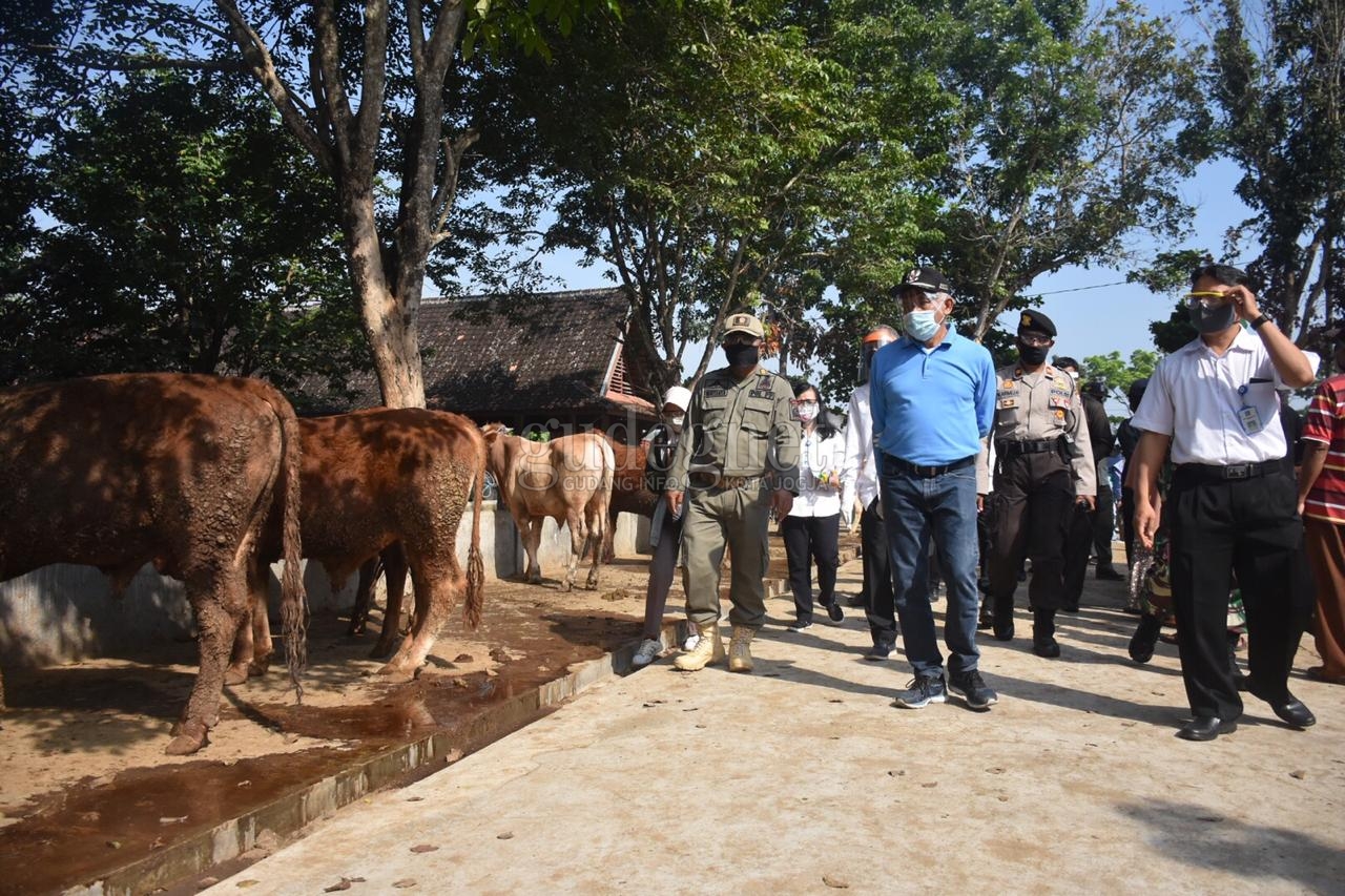 Penjualan Hewan Kurban di Sleman Meningkat