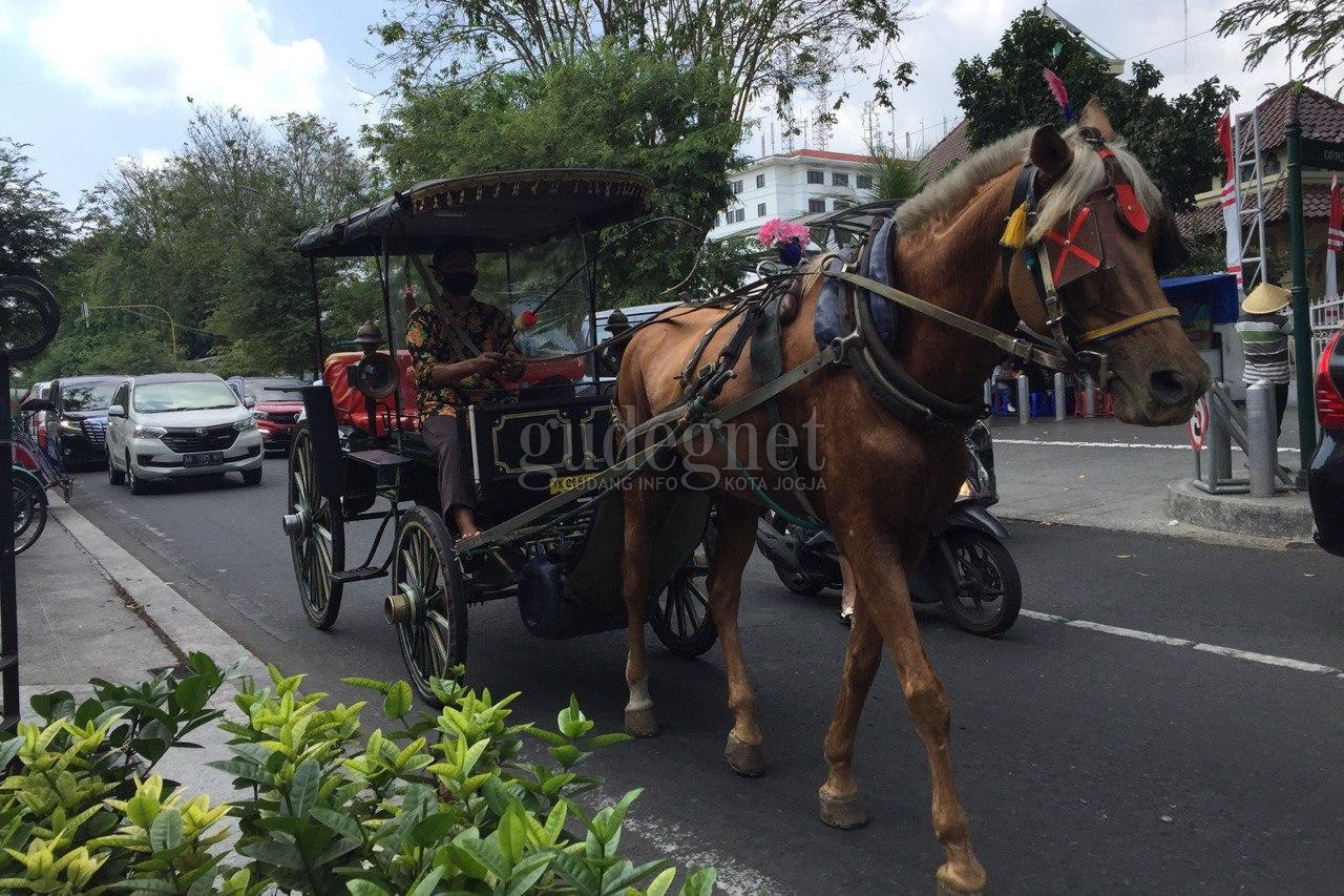 Cuaca DIY Akhir Pekan Ini Cerah Berawan, Waspada Potensi Gelombang Tinggi