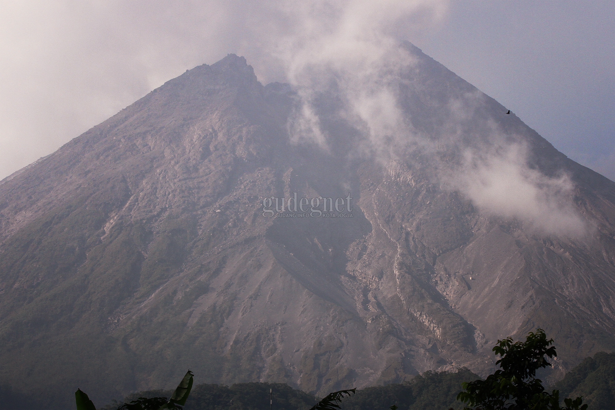 Perkembangan Merapi: Keluarkan Asap Solfatara Setinggi 750 Meter