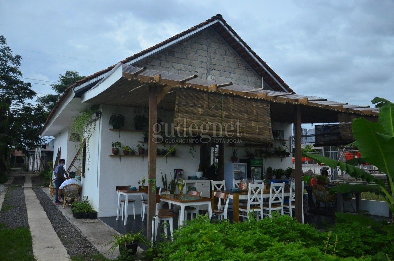 Pagi Padi Mentari Kafe, Pemandangan Alam dan Menu Sehat