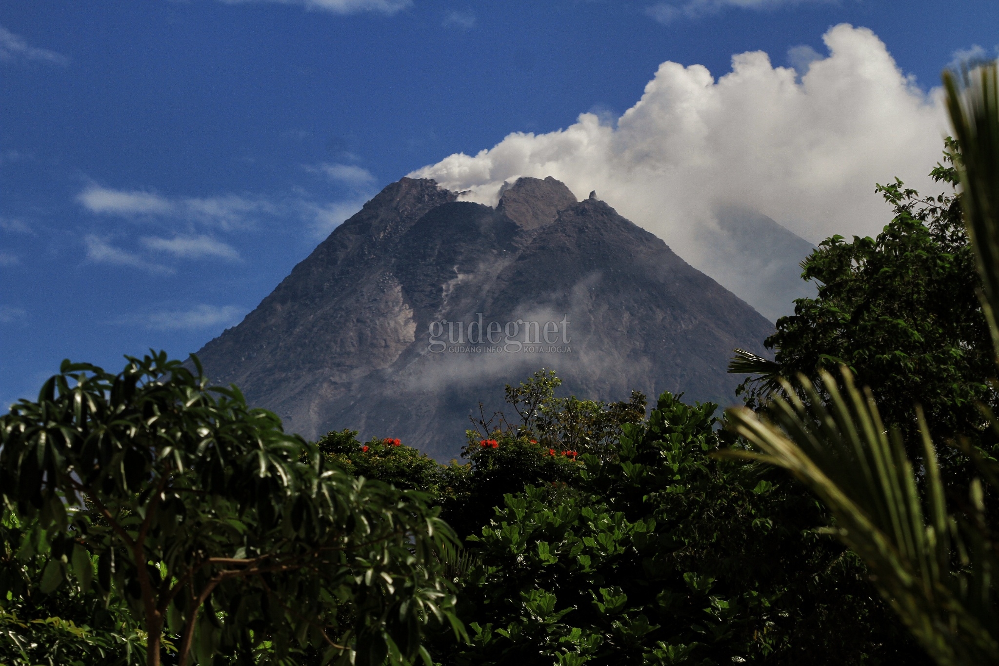 Merapi Muntahkan Awan Panas Guguran, Jarak Luncur 800 Meter