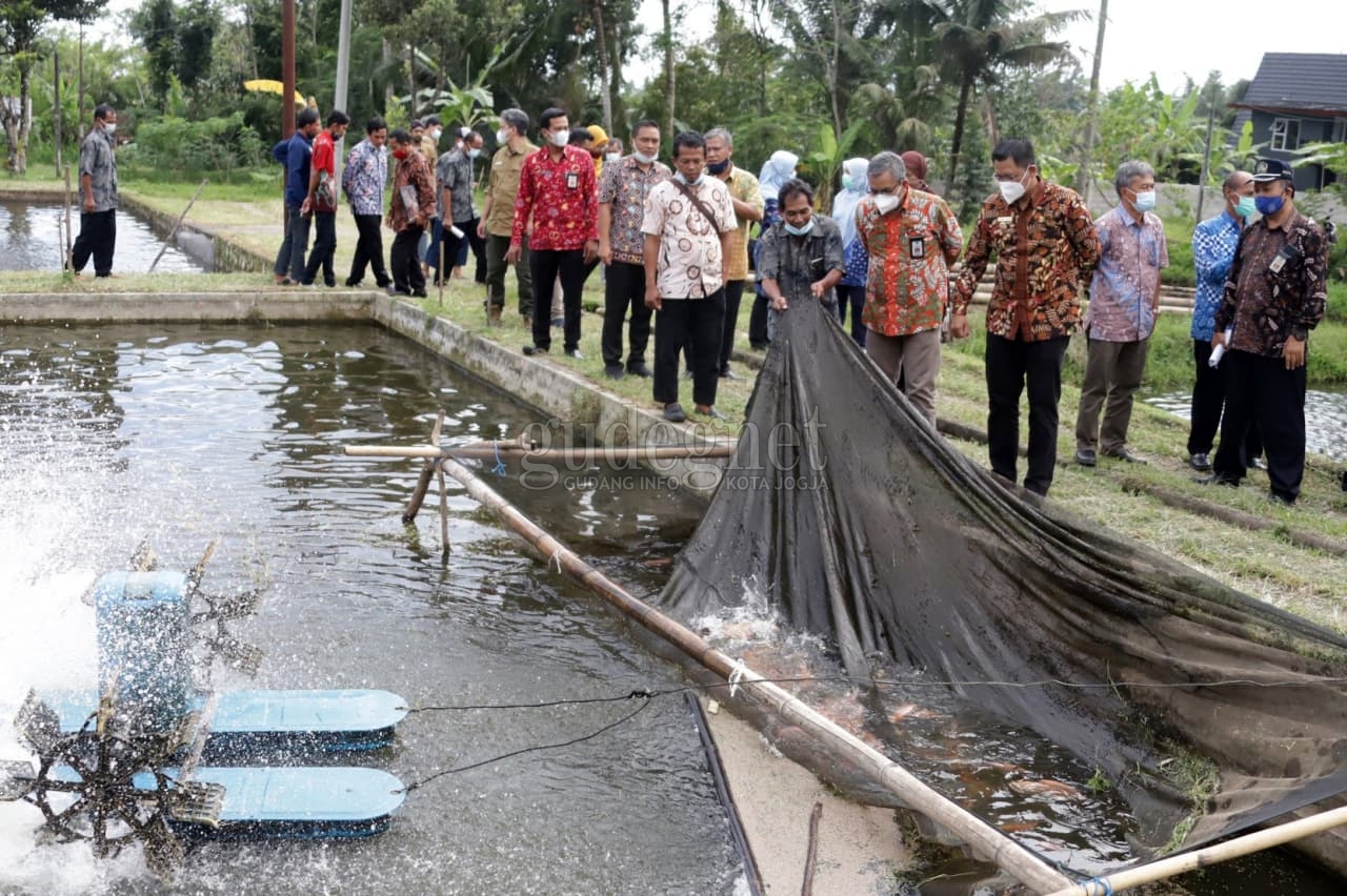 Padukuhan Garongan Akan Jadi Kampung Wisata 'Sibudi Dikucir'