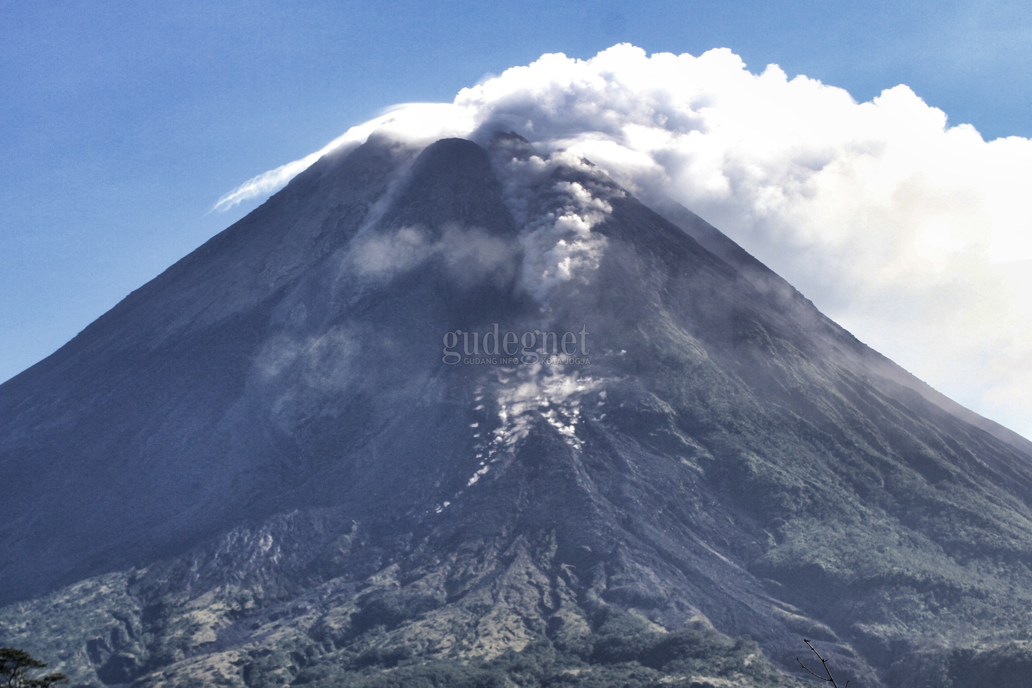 Aktivitas Meningkat, Asap Tebal Keluar Dari Puncak Merapi