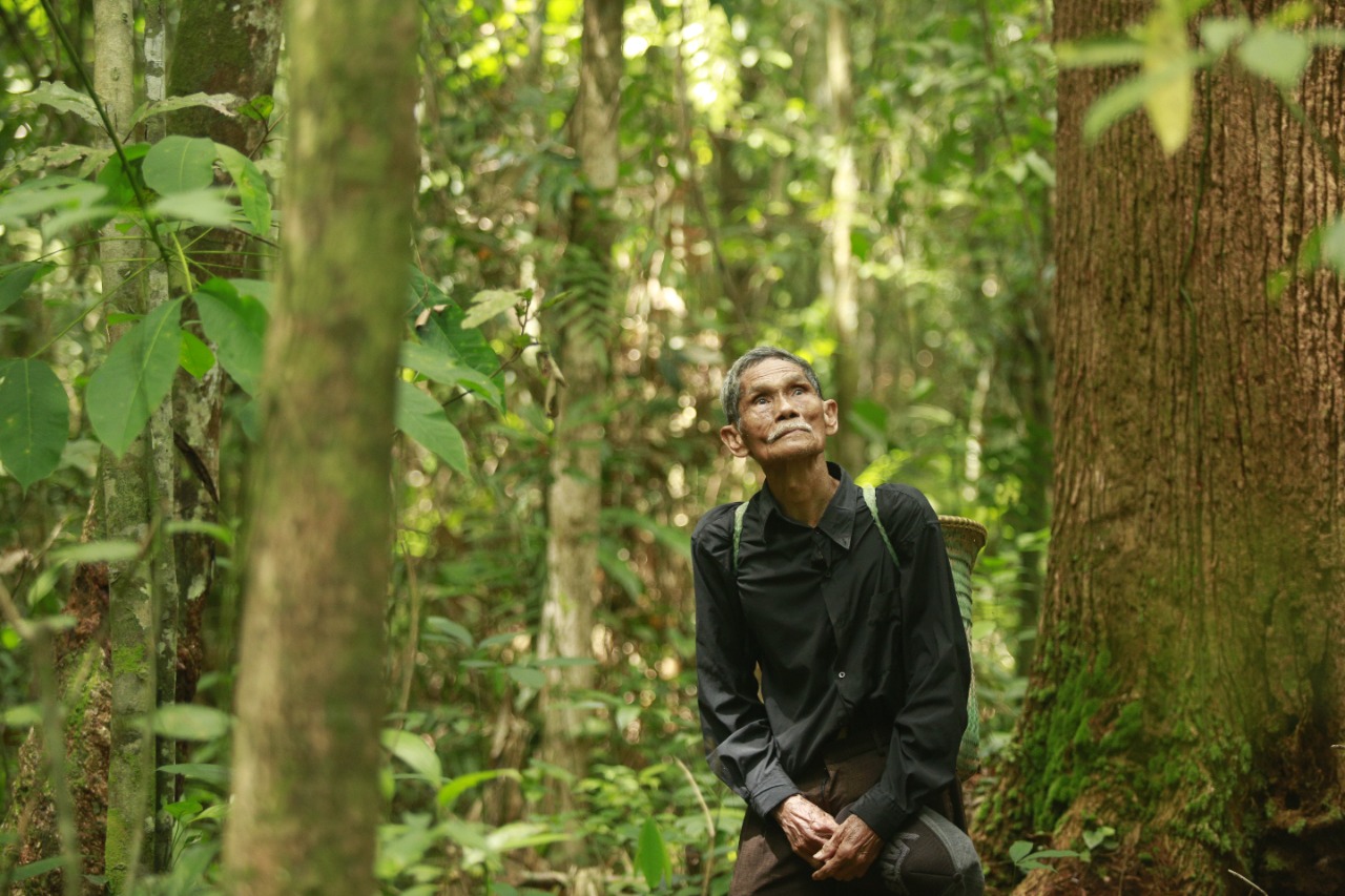 The Flame, Film Dokumenter JAFF 2021 Tentang Hutan Adat Kalimantan