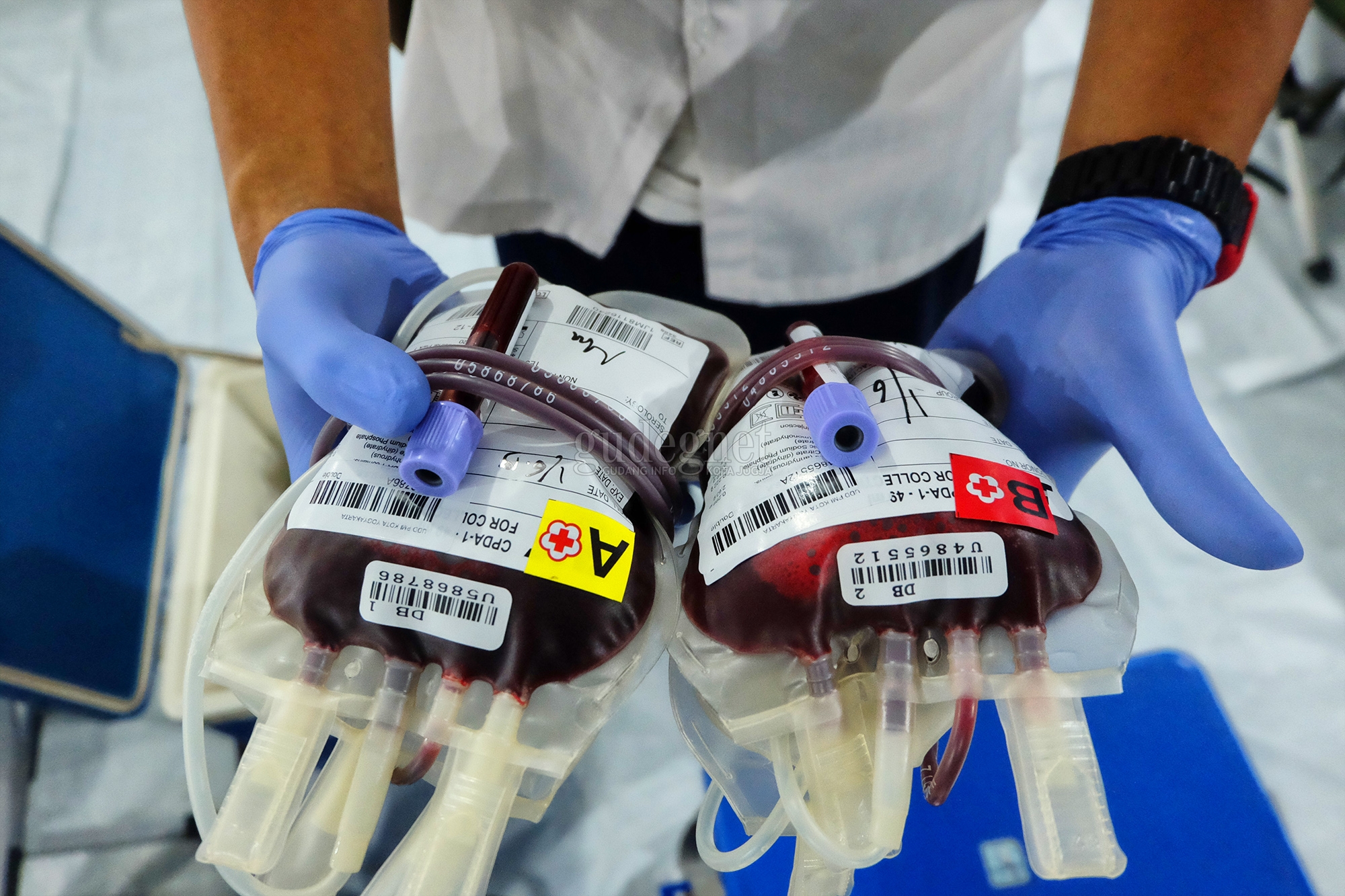 Persediaan Darah PMI Se-DIY, Kamis, 20 Januari 2022