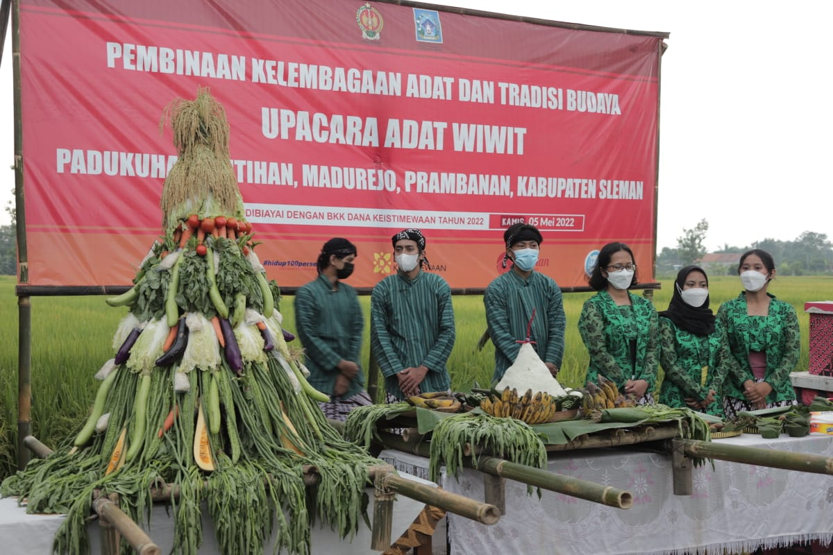 Wujud Syukur Jelang Panen Padi, Petani di Sleman Gelar Wiwitan