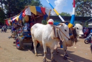 Rela Tak Dibayar Demi Ramaikan Festival Gerobag