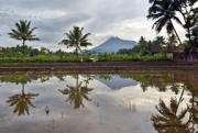 Lagi, Sleman Laksanakan Pelangi Budaya Bumi Merapi