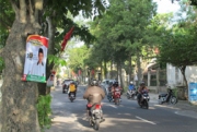 Yang Harus Anda Ketahui Tentang APK Yang Dipasang Di Pohon
