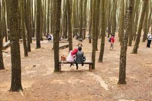 Ini 7 Tips Libur Lebaran di Luar Negeri Yang Belum Kamu Ketahui 