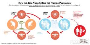 Infeksi Virus Zika oleh dr. FX. Wikan Indrarto