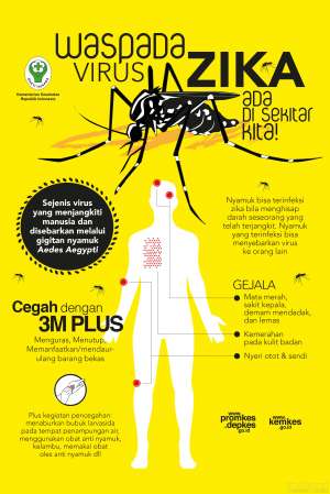Mikrosefali Zika oleh dr. FX. Wikan Indrarto