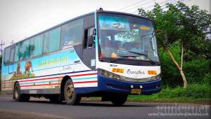 Jelang Idul Adha PO Safari Dharma Raya Tambah Armada