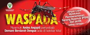 Waspada Dengue Dalam Era JKN oleh dr. FX. Wikan Indrarto