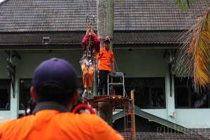 BPBD Kota Yogyakarta Ajarkan Teknik Penyelamatan Bencana pada Siswa SD 