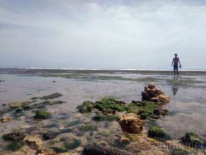 Wajah Pantai Sundak Pasca Diterjang Gelombang Tinggi