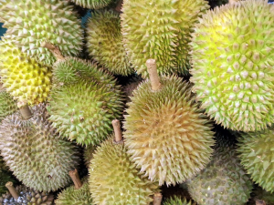 Besok, JCM akan Gelar Durian Fest