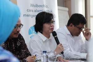 Wolbachia Diharapkan Tekan Sebaran Virus Dengue di Yogya