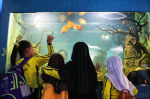 Peringati Hari Air Dunia, Jogja Bay Gratiskan Wahana Museum Water of Life