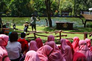 Gembira Loka Zoo Siap Buka Kembali dengan Protokol Kesehatan 