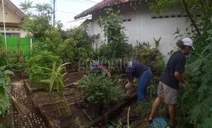 KKN 'Gemah Ripah' UKDW Inisiasi Ecotourism Kampung Sayur di Bausasran