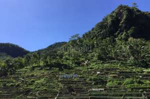 Menikmati Keindahan Alam di Desa Wisata Srikeminut