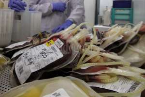 Stok Darah PMI Se-DIY, Rabu 28 Juli 2021