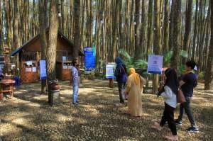 Hutan Pinus Mangunan Uji Coba Buka, Pengunjung Sepi