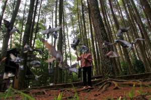 Pembukaan Objek Wisata, Ini Pandangan Epidemiolog